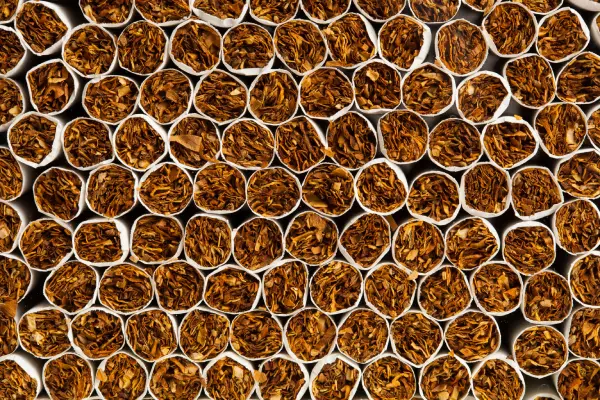 Dosal Materials